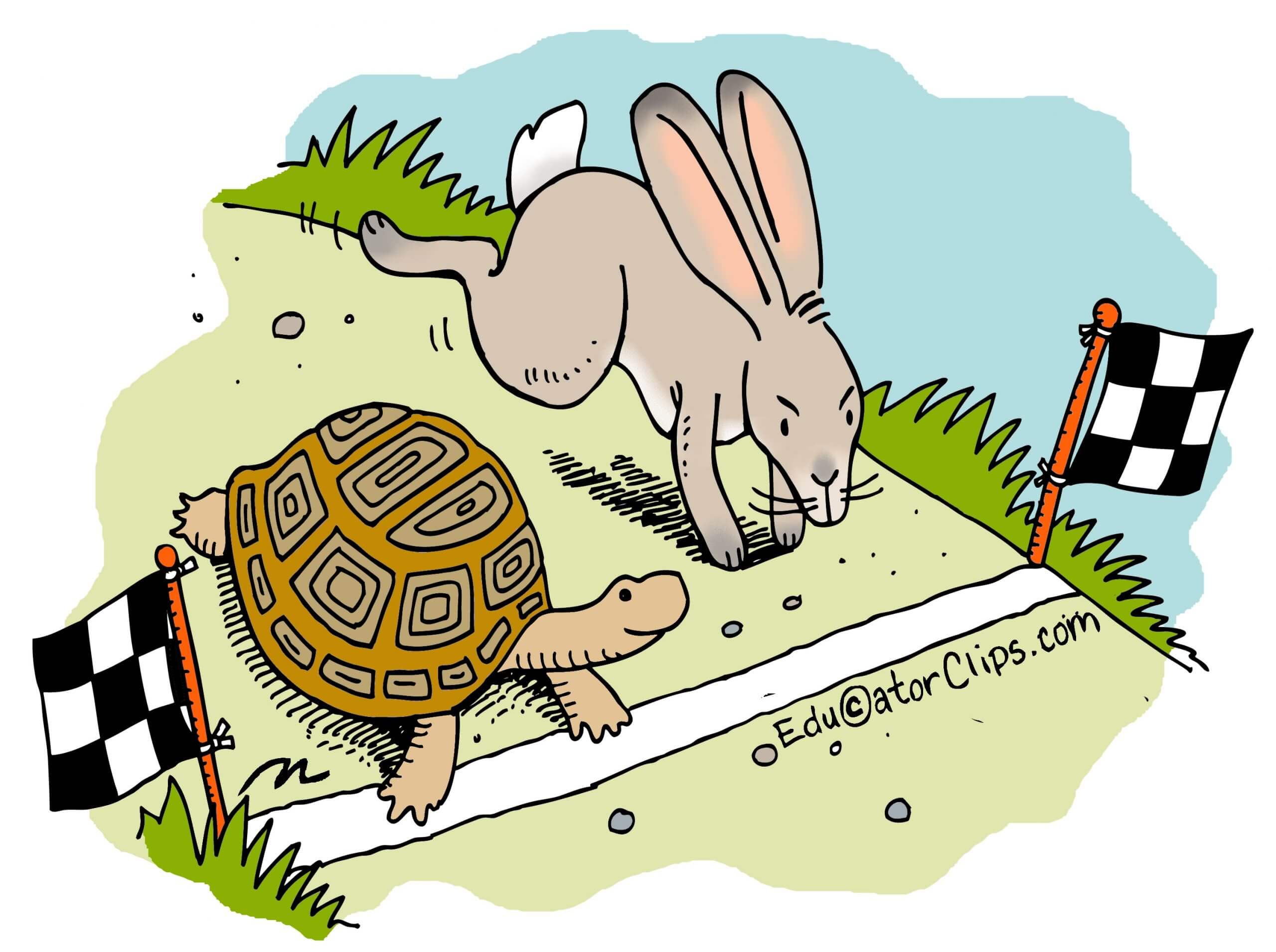 A tortoise and a hare cross a website’s finish line on a race track with checkered flags at the end.