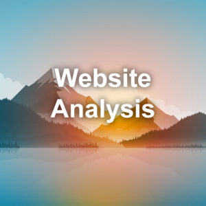 Website Analysis