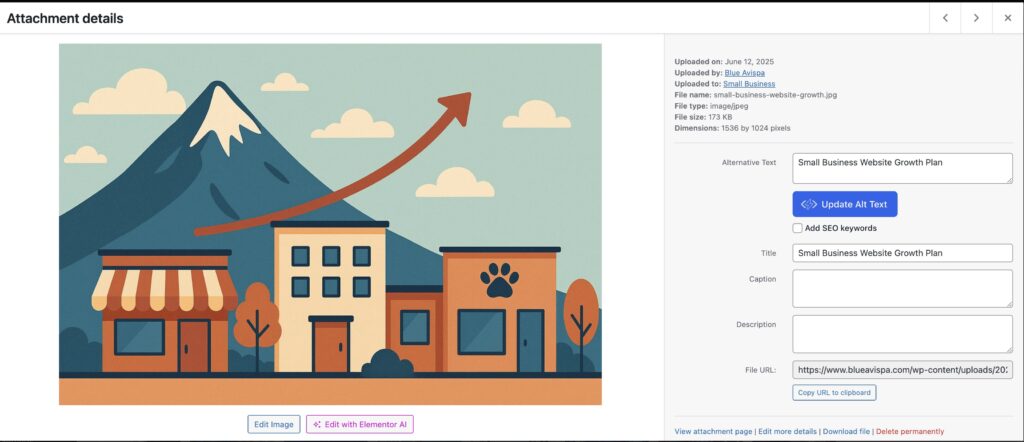 Screenshot of a illustration of storefronts with a mountain and an upward arrow, symbolizing small business growth.