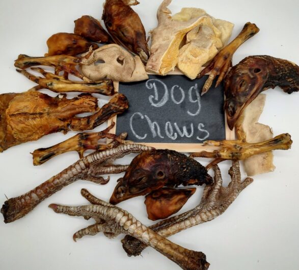 IMG_20230430_162939668_HDR-e1682966103940